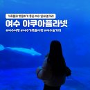 문수청소년문화의집(LGU+) | 아쿠아플라넷 여수 :: 가족들과 방문하기 좋은 여수 실내 놀거리(제휴/할인 정보)