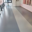 핑크강아지 이미지