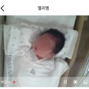 세종 메종플로라 산후조리원 1.5주(10박11일) 후기
