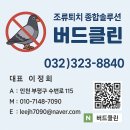 비둘기호텔 | 인천 비둘기퇴치, 계양구 계산동 oo호텔 방조망설치 시공완성~&lt;by버드클린&gt;