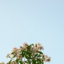 오월의 하루 이미지