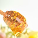 말기암 환자도 살리는 꿀의 효능과 사용법 이미지
