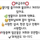 부천꽃집데이브앤스텔라플라워즈 이미지