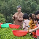 회천서초등학교 이미지