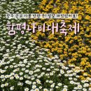 광주근교 가볼만한곳 2025 함평 나비대축제 한우 먹기