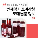 서울원예농협 | 카페 음료 메뉴 고민될 때? 인제향기 오미자청 도매 납품 받아보세요