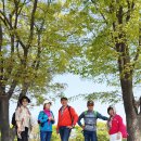 화수공원 이미지