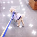 리토