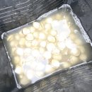 몽산포솔모래펜션