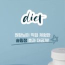 정연초 네이버블로그