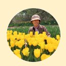 오케이노인복지센터 이미지