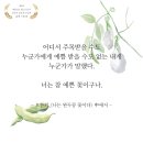 실버스토리 이미지