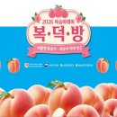 싱씽마트