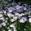 한여울농장 이미지