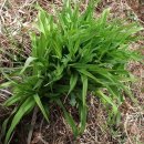 연인산풍경 이미지