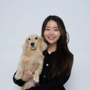 부산 시민을 위한 가요 한마당 | 부산 강아지 증명사진 스튜디오 위글하우스