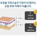 압구정아이비성형외과의원 이미지