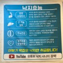 하당 한솔문고 | 목포맛집 갯내음 현지인 추천 맛집 소고기낙지탕탕이+갈치조림 후기