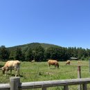 아리랑목장 이미지