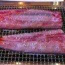 부용장어 이미지