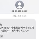 몽몽하나 이미지