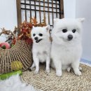 지개동산 이미지