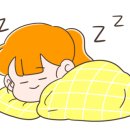 감자정육점 이미지