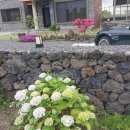 행원433 | 주변풍경이좋은 제주펜션 행원433에서 즐겁게놀다온후기