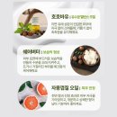 촉촉이네 | 🐶🐱 강아지·고양이 보습폭탄 ‘촉촉이’ 로션