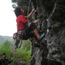 얼룩빼기이박사 이미지