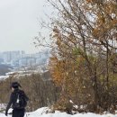 달미역 이미지