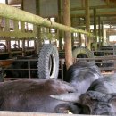 화우농장 이미지