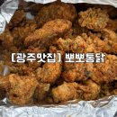 [광주/맛집] 14번 전화만에 성공한 옛날치킨 뽀뽀통닭 솔직후기