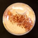 원주 명륜동 [HHH coffee] 너무 좋아 또간집 내돈내산 카페맛집 솔직후기