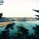 실리수산 이미지