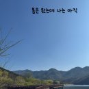365봄날한의원 | 치료받고 잠깐 산책, 봄은 왔는데 나는 아직