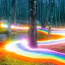 레인보우로드 이미지