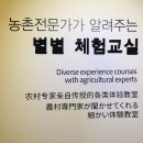 2019 국제농업박람회 다녀온 후기