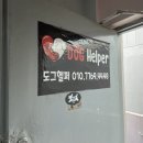 도그헬퍼 이미지