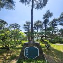 21세기부동산 | 양평 골프장 TPC 5월 가족 라운딩 후기와 코스 관리 정보 이야기 입니다
