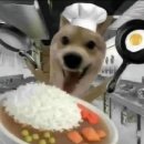 살아들 계신지요