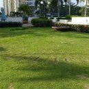 동탄진맥한의원 이미지