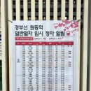 한천공중화장실(체육공원) | [공지] 2026년 양산 원동 매화 개화 상황. 매화축제 방문기. 부산 근교 매화 명소. 순매원 매화. 주차...