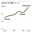 김**-11