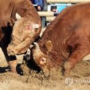 창원광장 앞 중앙대로 이미지