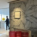 스테이 하하하 | 시그니엘 서울 STAY 스테이 런치 리뷰! 기념일 미쉐린 가이드 파인다이닝 추천 + 창가자리 예약 꿀팁