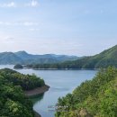 게으른 악어 이미지