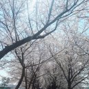 동천상사 이미지