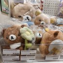 꿈이랑도서관 독서동아리 가가책책 | 2월 월말정산 :: 친구들과 노는 달, 뮤지컬 로빈, 운전면허 필기 합격