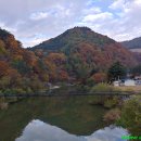 대기3리 이미지